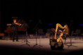/album/fotogaleria-slaky/imgp6903-jpg/